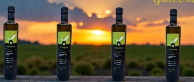 Huile d'olive Extra Vierge Naturelle (250 ml) Lot de 4 Bouteilles